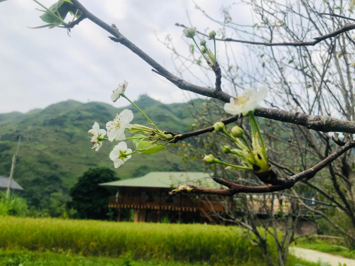 Wild Orchid- Lan Home Làng Cac 외부 사진