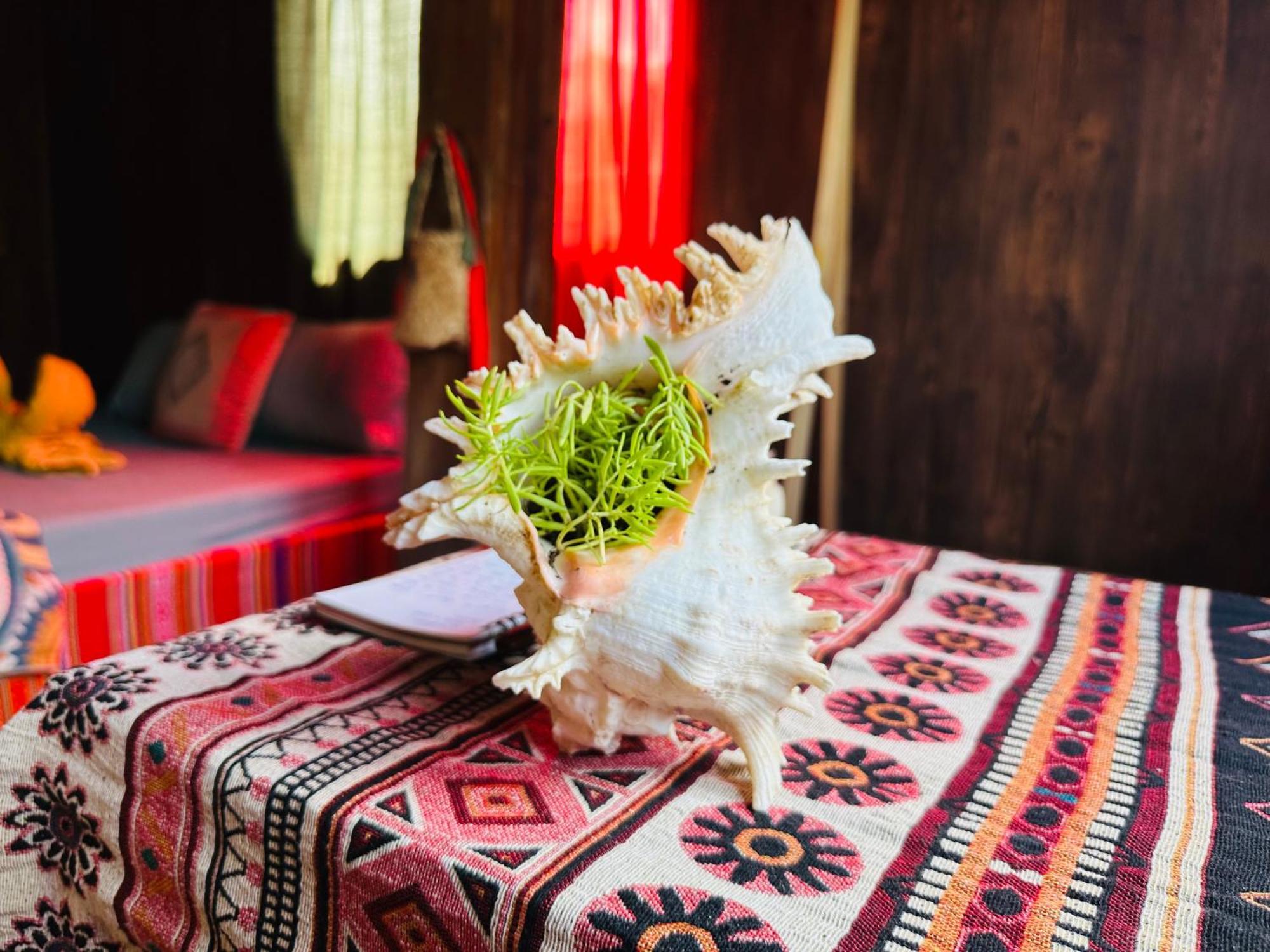 Wild Orchid- Lan Home Làng Cac 외부 사진